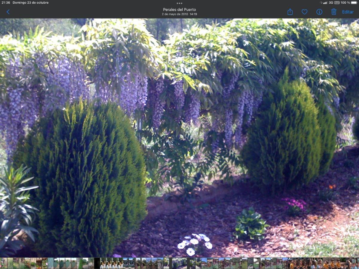 Finca Vergel Gata Exteriör bild